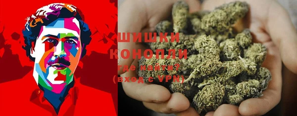 PSILOCYBIN Беломорск